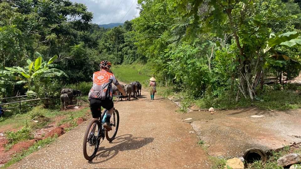 1778654922_northern-vietnam-e-bikes-cycling-mai-chau-to-pu-luong-4-days (6).jpg